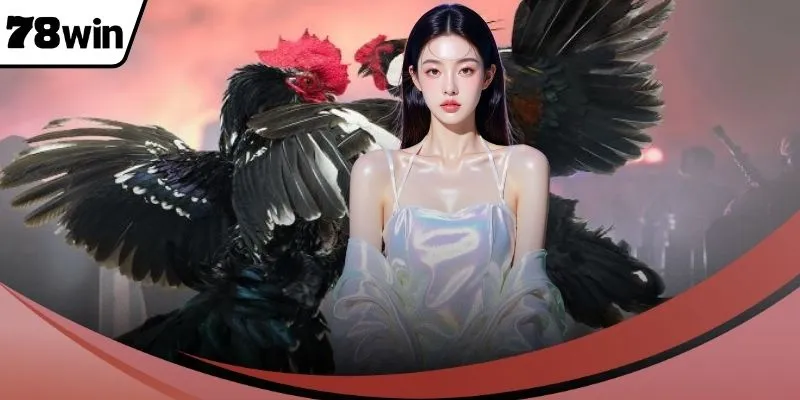 รูปโปรไฟล์ ชนไก่ 78WIN